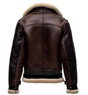 Brown Sterling Bomber Jacket — back view